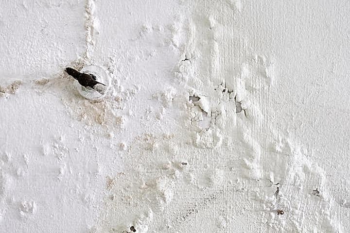 What Does Water Damage Look Like? The Signs of Water Damage