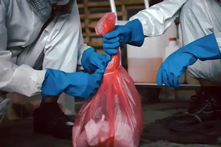 two people tying a bag together with a substance inside